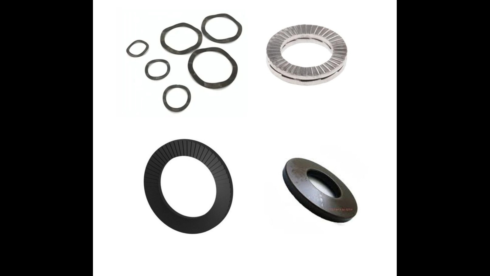 1000-point plate washers with double 1000-point wave spring in Rolltrans 1000-point plate washers with double 1000-point wave spring in Rolltrans